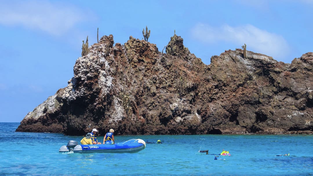 Several people enjoy snorkeling in the stunning turquoise waters of the Galapagos Islands